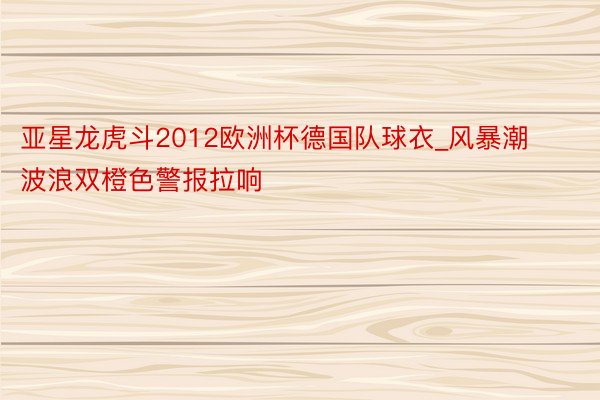 亚星龙虎斗2012欧洲杯德国队球衣_风暴潮波浪双橙色警报拉响