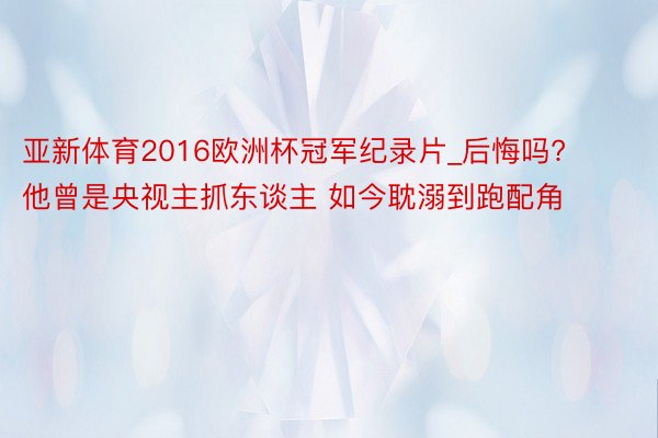 亚新体育2016欧洲杯冠军纪录片_后悔吗? 他曾是央视主抓东谈主 如今耽溺到跑配角