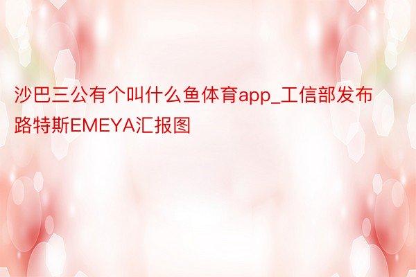 沙巴三公有个叫什么鱼体育app_工信部发布路特斯EMEYA汇报图