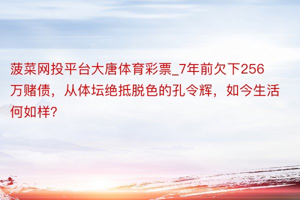 菠菜网投平台大唐体育彩票_7年前欠下256万赌债，从体坛绝抵脱色的孔令辉，如今生活何如样？