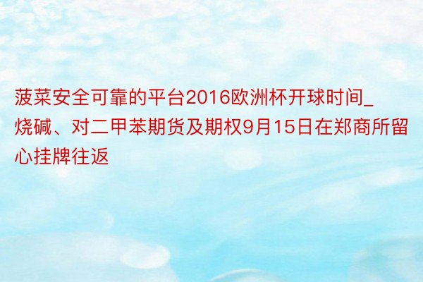 菠菜安全可靠的平台2016欧洲杯开球时间_烧碱、对二甲苯期货及期权9月15日在郑商所留心挂牌往返