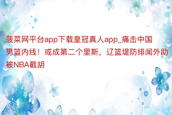 菠菜网平台app下载皇冠真人app_痛击中国男篮内线！或成第二个里斯，辽篮堤防绯闻外助被NBA截胡