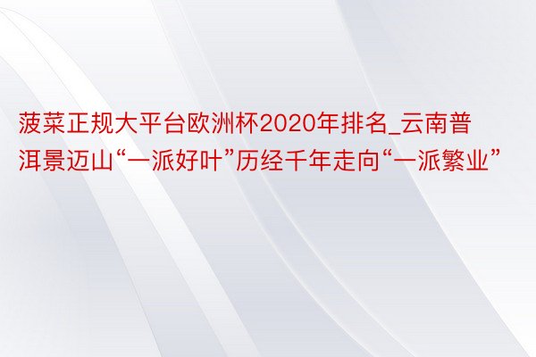 菠菜正规大平台欧洲杯2020年排名_云南普洱景迈山“一派好叶”历经千年走向“一派繁业”