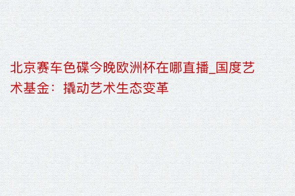 北京赛车色碟今晚欧洲杯在哪直播_国度艺术基金：撬动艺术生态变革